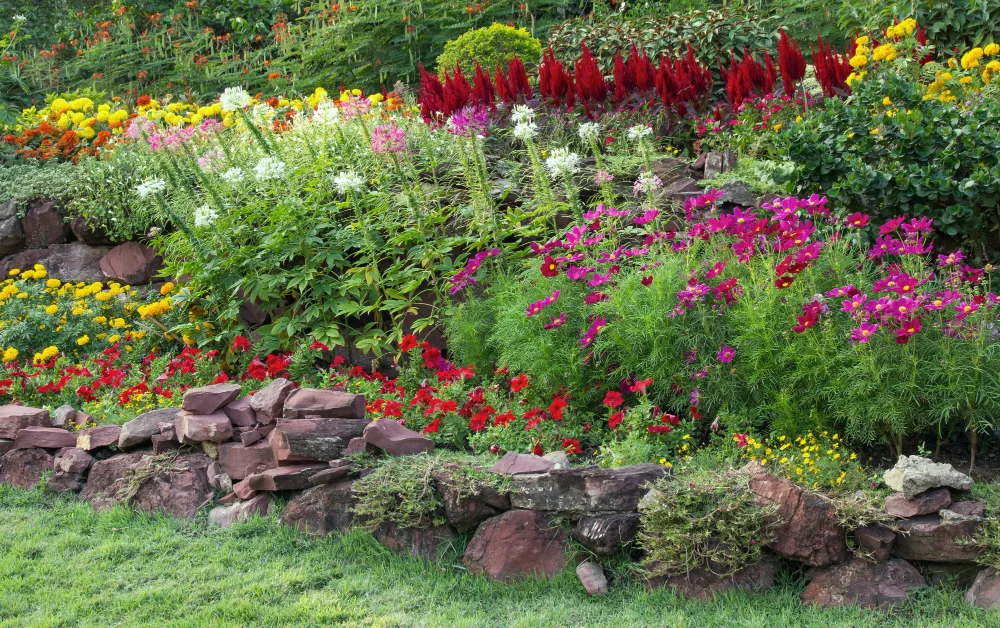 Horticulture